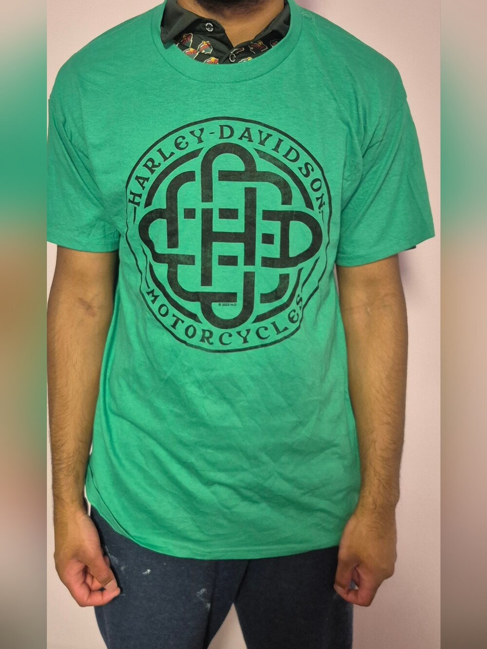 Harley-Davidson Men's Teal Graphic T-Shirt